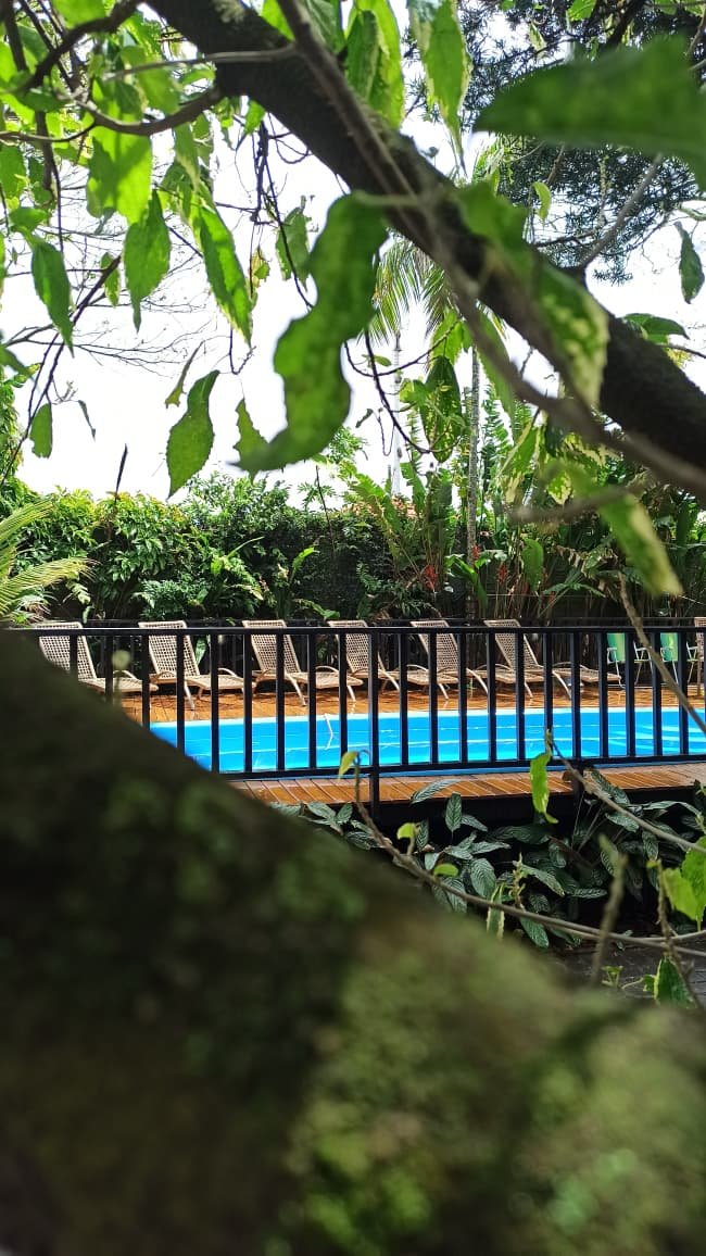 Hotel Natur Campeche - Foto 107